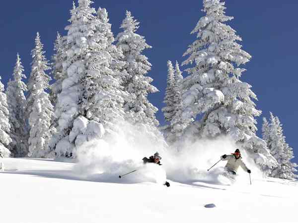 Flights to Chambery, Skiers